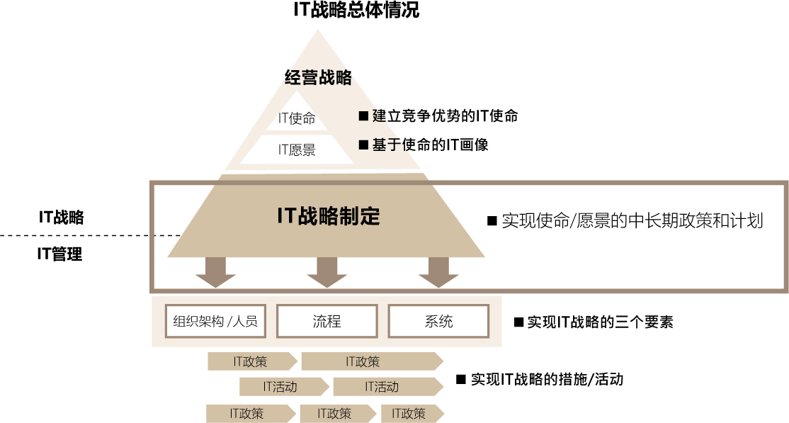 IT战略总体情况