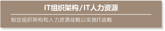 IT组织架构/IT人力资源